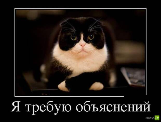 Демотиваторы на сентябрь 3, (30 фото)