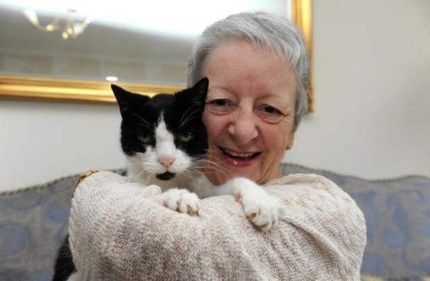 64-летняя женщина не подозревала, что происходит с ее плечом животные, коты