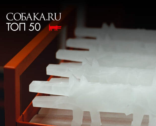 Собака.ru объявляет старт премии «ТОП50. Самые знаменитые люди Петербурга — 2025»