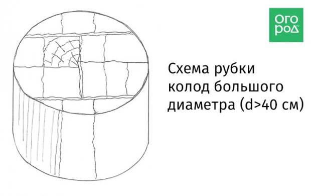 Схема рубки колоды