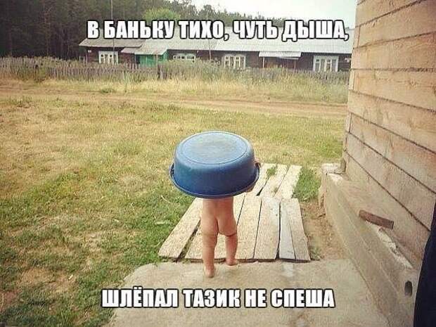 Пост юмора без политики прикол, юмор