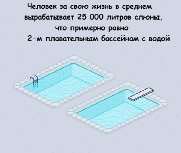 www.vsyako.net
