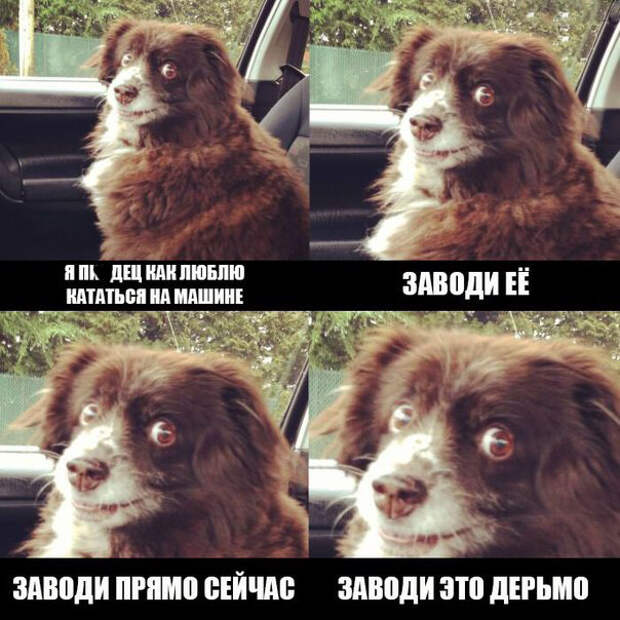 Подборка автоприколов. Часть 213 авто, автоприколы, приколы