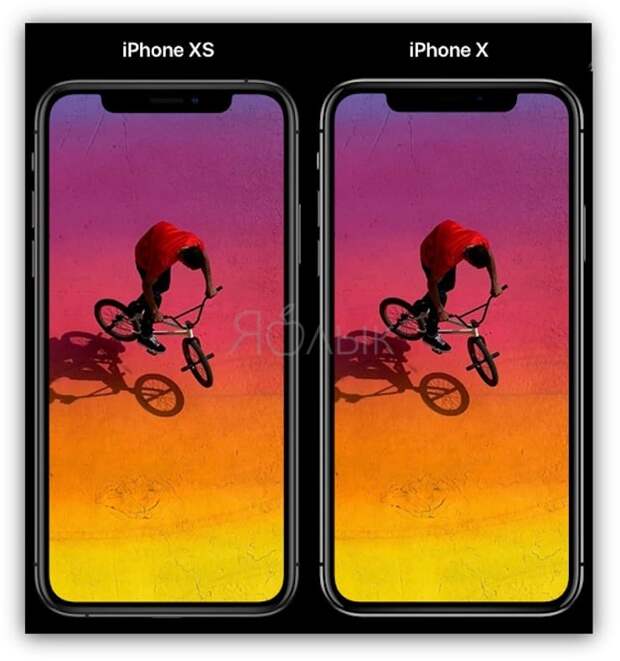 Размеры Сравнение размеров iPhone XR и iPhone 8 Plus