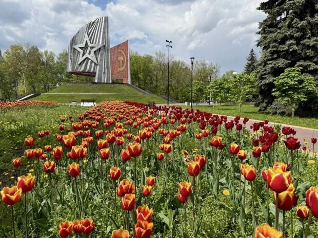 В Нижнем Новгороде высадят цветы к Дню Победы на площади более 21 тыс.кв. метров