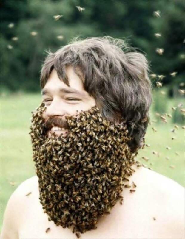 Если природа обделила густым волосяным покровом, можно сделать чудную бороду из пчел.
