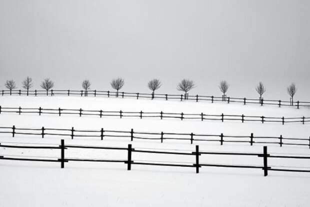 Частная собственность из серии «Снежные пейзажи». Автор: Josef Hoflehner.