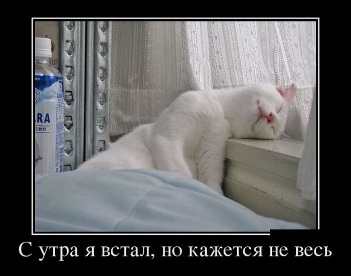 Демотиваторы (30 фото)