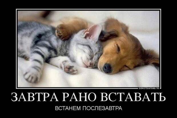 Обеденные демотиваторы (13 шт)