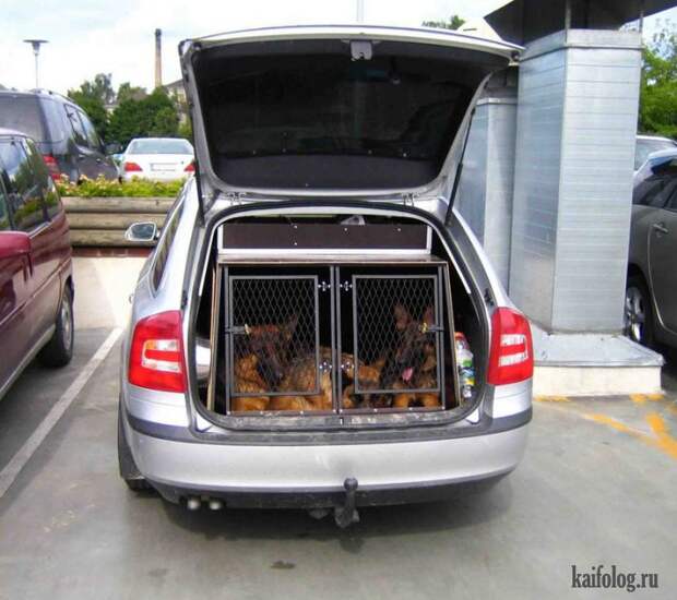 Прикольные противоугонки (50 фото) Прикольные противоугонки (50 фото)