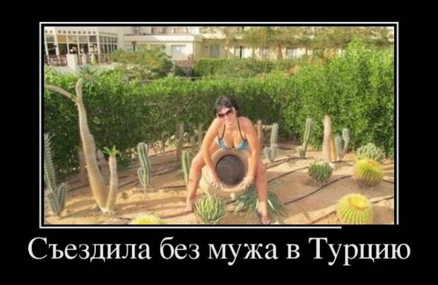 Демки