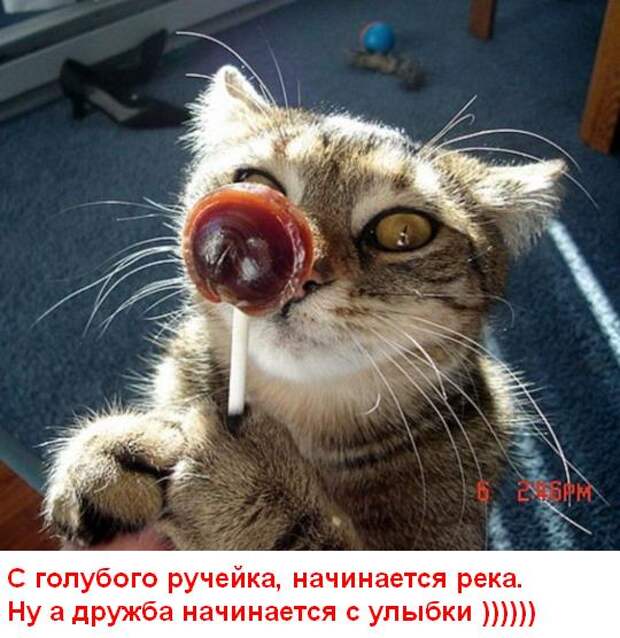Улыбнись (15 картинок)
