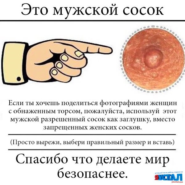 Смешные картинки с надписями прикол, юмор