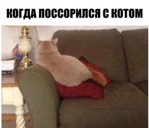 Всем хорошего и рабочего дня- Позитивчика пучок