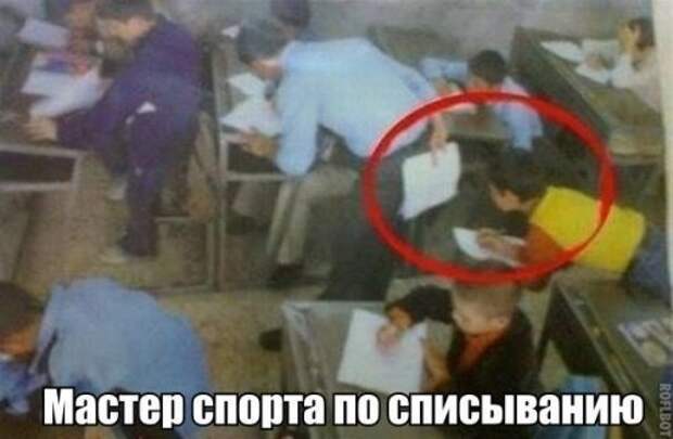 Прикольные фотомемы для хорошего настроения (35 шт)