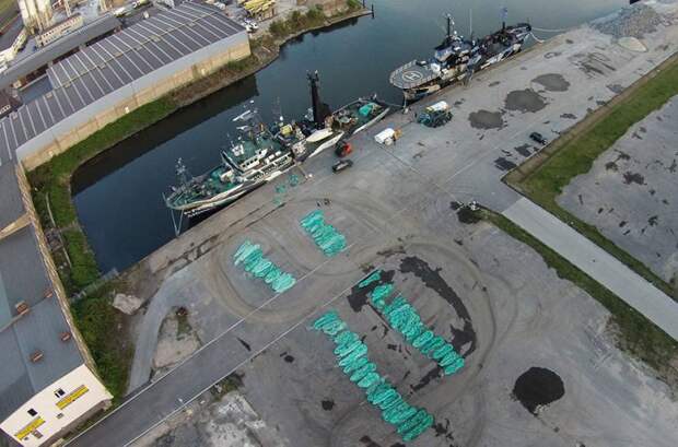 Some of these nets were even confiscated from poachers by Sea Shepherd environmental activists