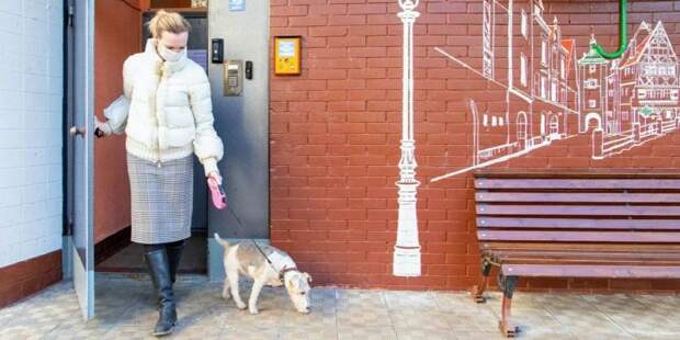 Волонтеры Москвы ежедневно выгуливают 120 собак московских пенсионеров / Фото: mos.ru