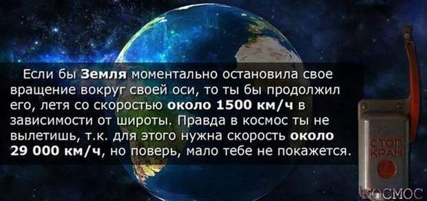 Картинки со смешными подписями картинки, прикол, юмор