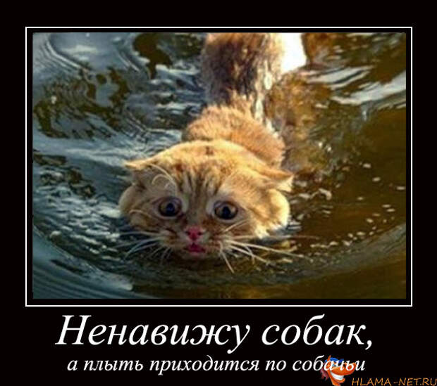 демотиваторы по русски