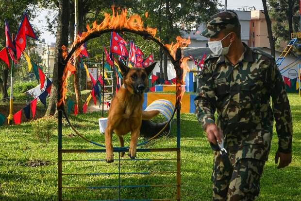 Повседневная жизнь в Непале
