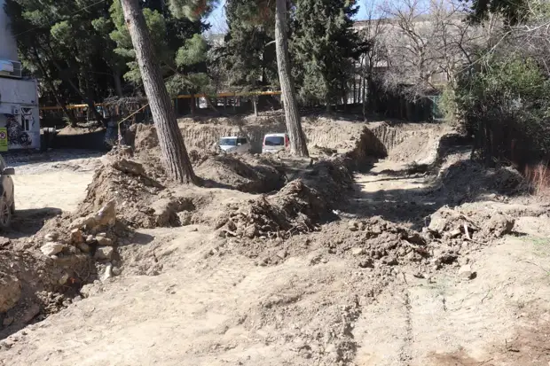 Аксёнов держит вопрос по вырубке деревьев в Ялте на контроле