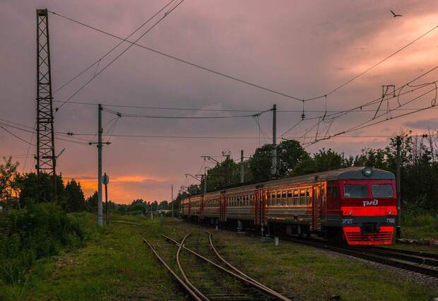 _DSC3546 alt