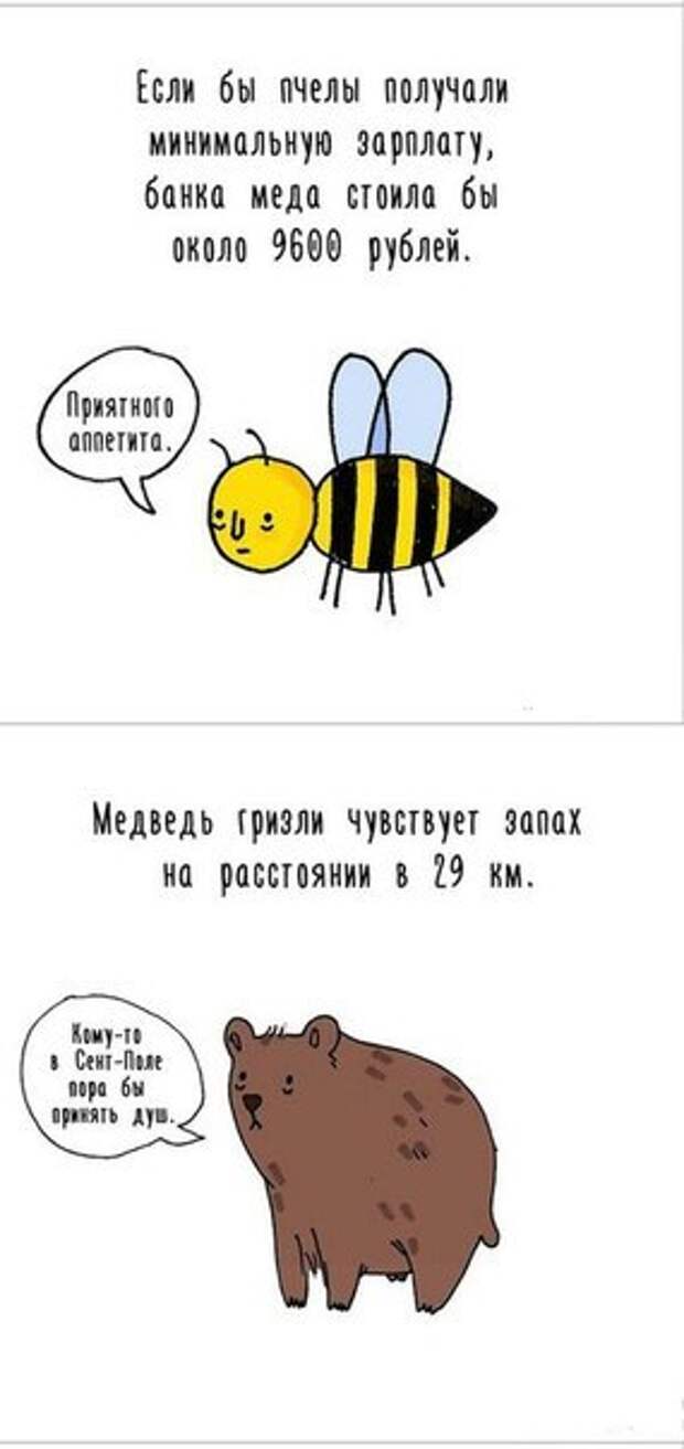GQeRDf7bou8