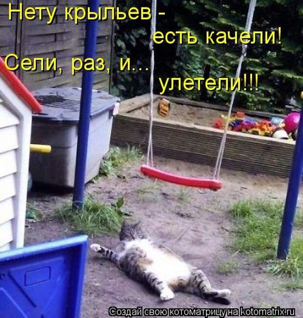 Новая котоматрица на Бугаге (31 фото)