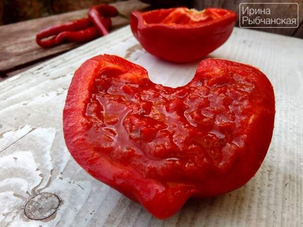 Кетчуп из помидоров на зиму пальчики оближешь — рецепты на любой вкус