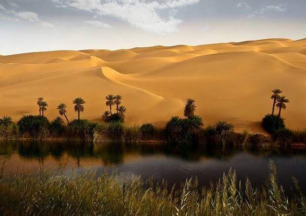Самые красивые оазисы мира красота, оазис, пустыня