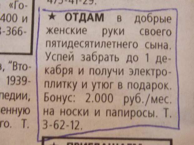 Ищу лысую или волосатую! Хиты брачных объявлений! (30 фото) Ищу лысую или волосатую! Хиты брачных объявлений! (30 фото)