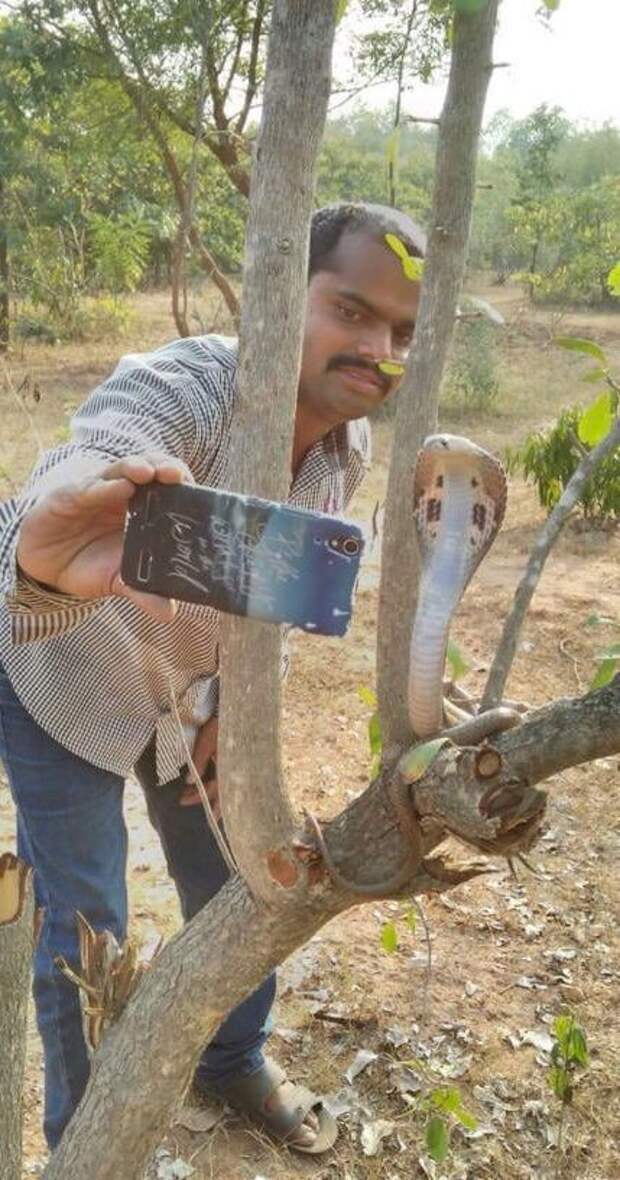 Прикольные картинки. Вечерний выпуск (54 фото)