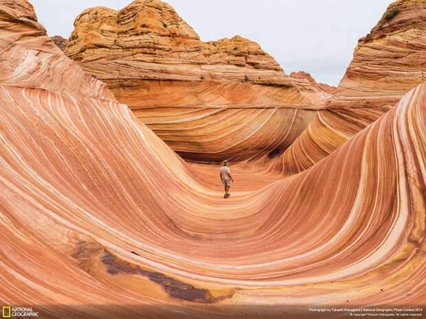 лучшие снимки фотоконкурса National Geographic 2014 аризона волна