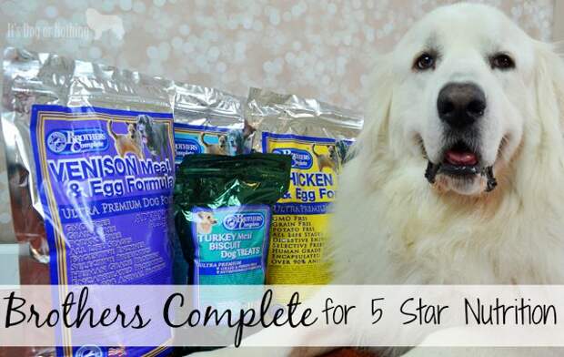 Brothers Complete Dog Food