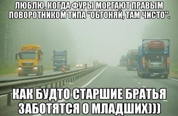 Просто смешные картинки с подписями Просто смешные картинки с подписями весело, с подписями, смешные картинки, юмор