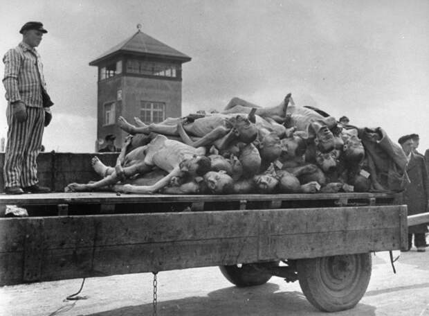 Ужасы Дахау - наука вне морали  дахау, история, освобождение