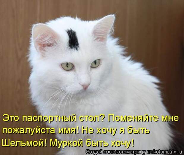 Мысли вслух :)