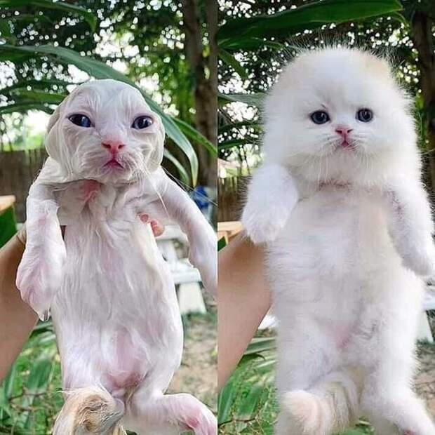 А ты, оказывается, красивый А ты, оказывается, красивый