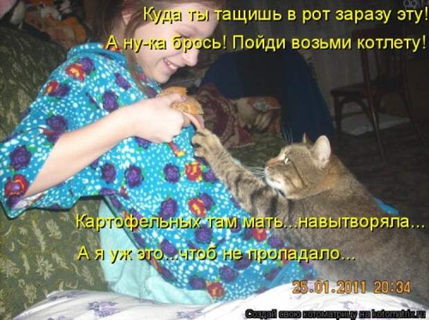 Котоматрица свежак (36 шт)