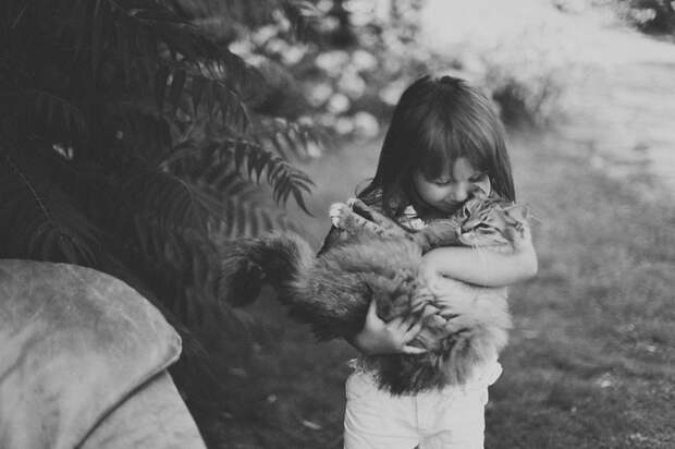 children-cat-playing-photography-16_result