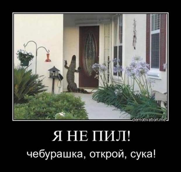 Демы смешные и самые прикольные на сегодня.