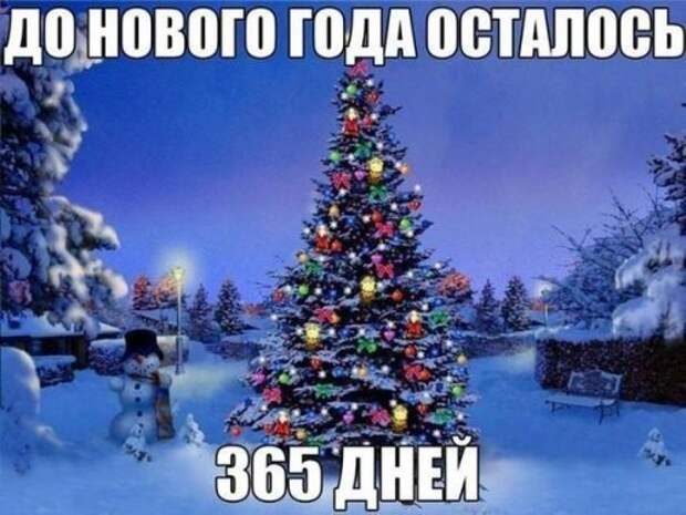 Первая подборка прикольных картинок в 2015 году