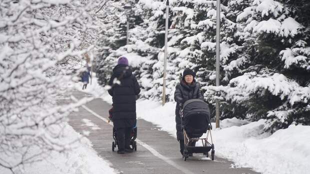 Морозы до 22 градусов ожидаются в одном из мегаполисов Казахстана