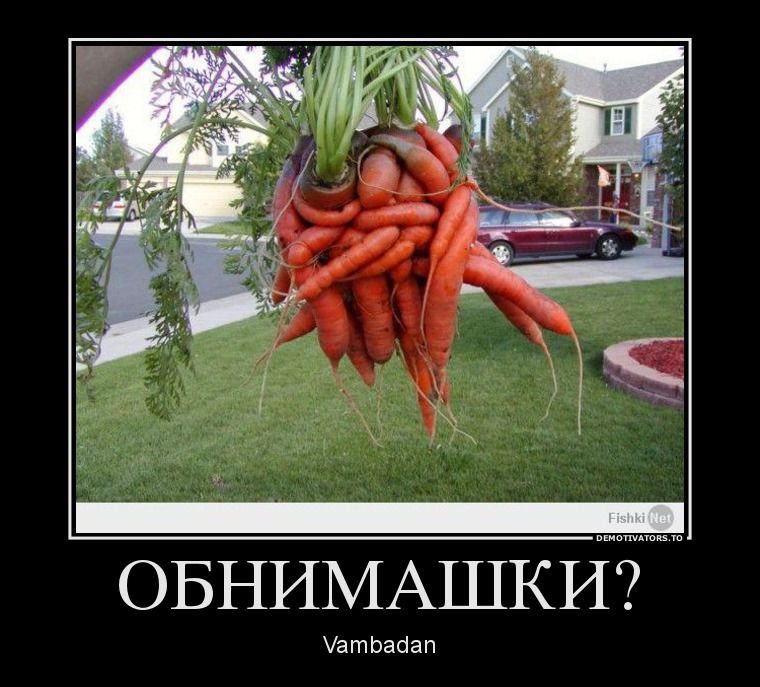 Демотиваторы  демотиваторы, прикол, смех, юмор