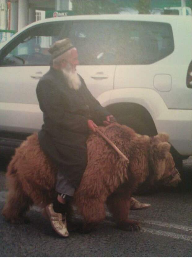 Подборка автоприколов. Часть 67 авто, автоприколы, приколы