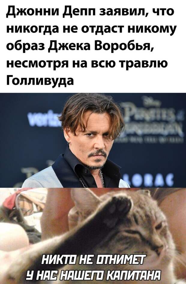 Смешные картинки вечер 23 сентября 2021 года