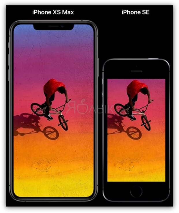 Размеры Сравнение размеров iPhone XR и iPhone 8 Plus