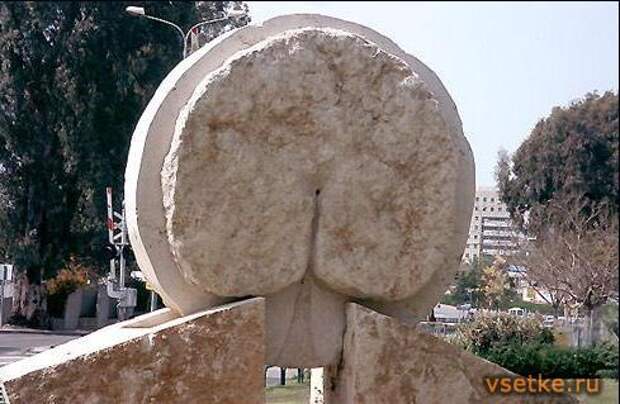 Памятник попе, символизирующий усидчивость в науках, находится в Израиле возле научно-исследовательского института им.Вейцмана
