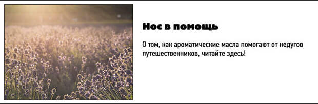Нос в помощь