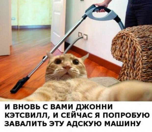 Краткий экскурс по истории интернет-мемов Краткий экскурс по истории интернет-мемов
